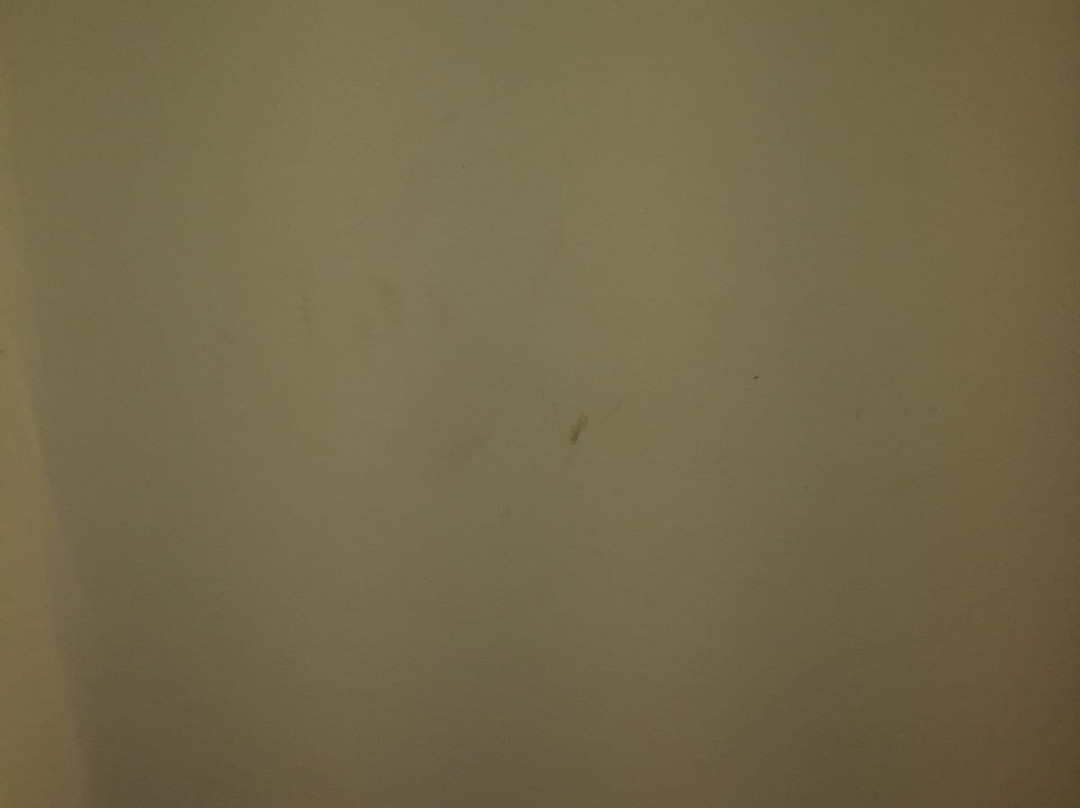 Hotel Iris Guadalajara主图