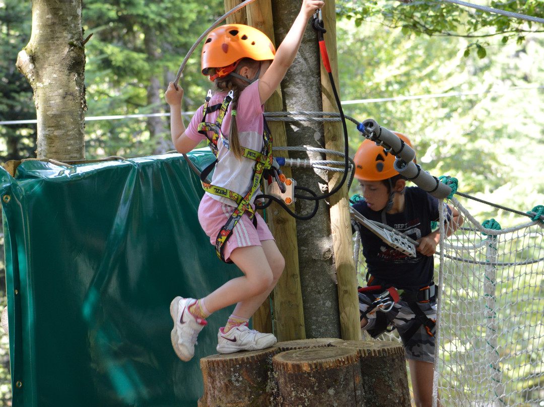 2023年12月Parc multiactivites et Accrobranche Form