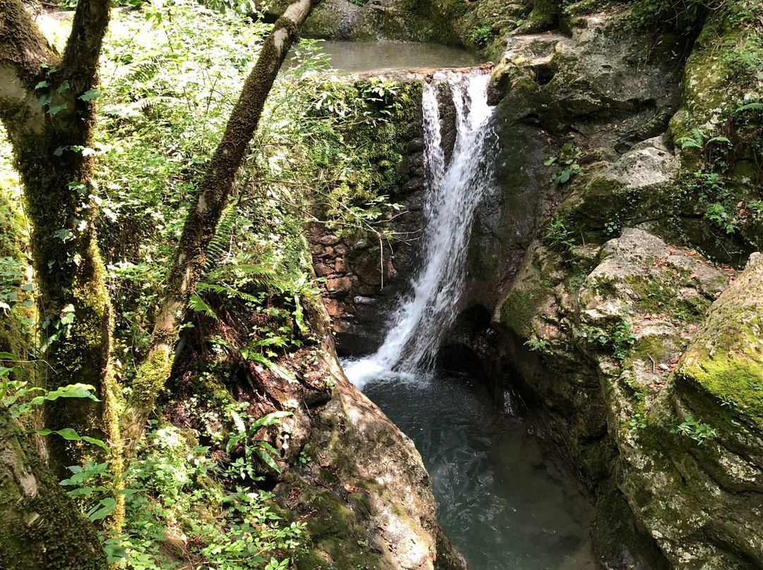 Candalla Waterfalls景点图片