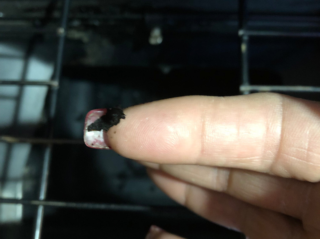 Comfort Inn Hammond主图