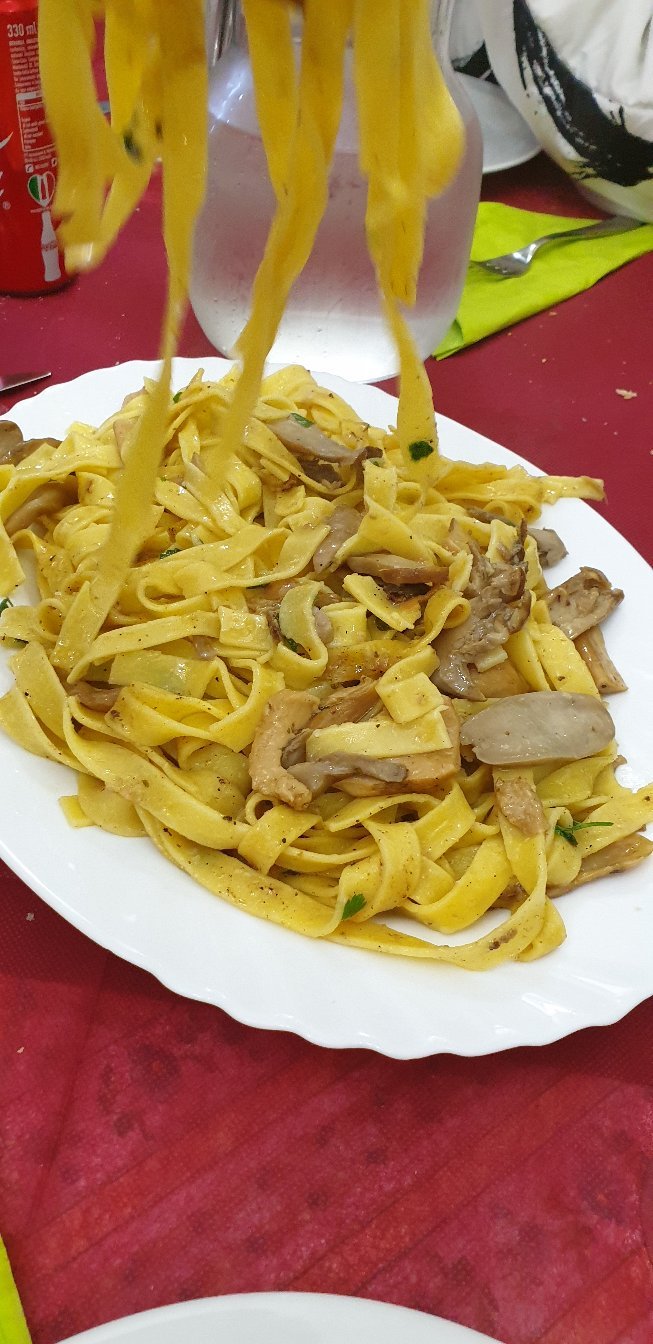 Hotel Camping Cecita sul Lago-官方