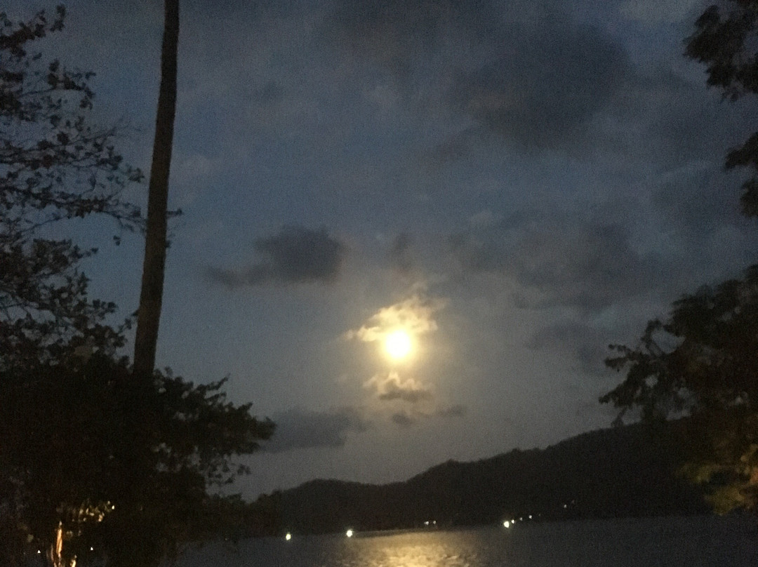 Dive Into Lembeh主图