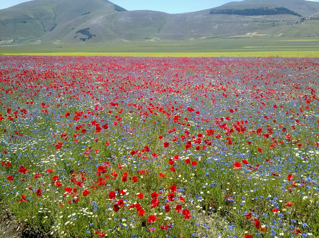 Umbria Outdoor景点图片