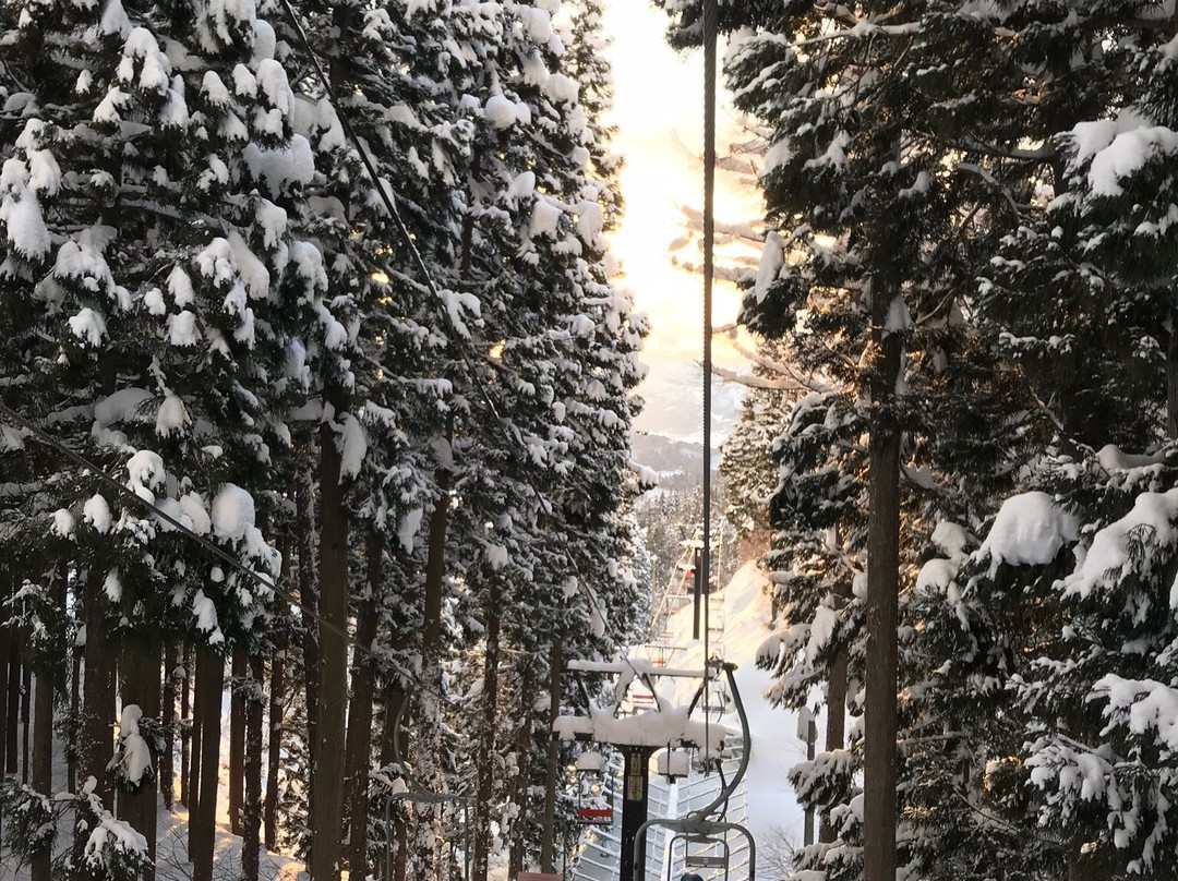 Nozawa Onsen Ski Resort景点图片