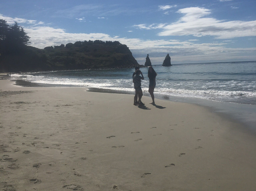 D-Tours Otago-但尼丁必去景点