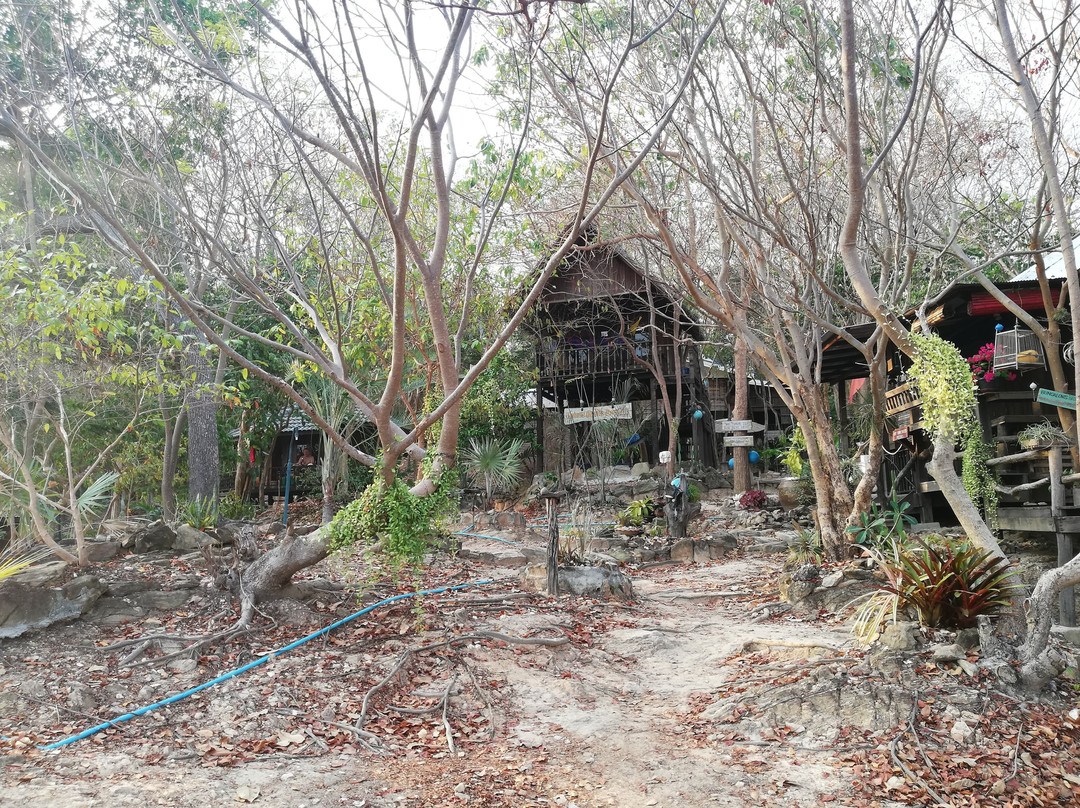 Noina's Mystic Mountain主图