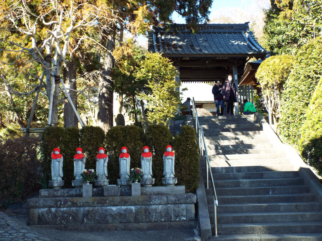 Chisoku-ji Temple-二宫町必去景点
