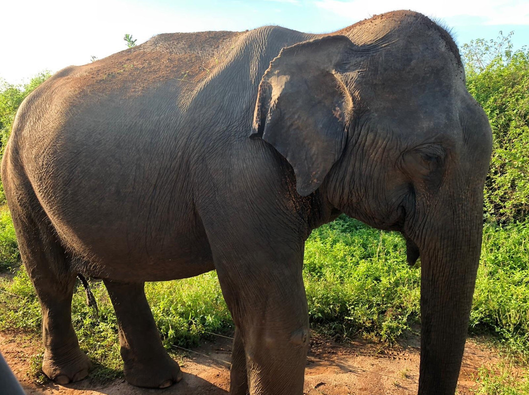 Cango Tour-亚洪加拉必去景点