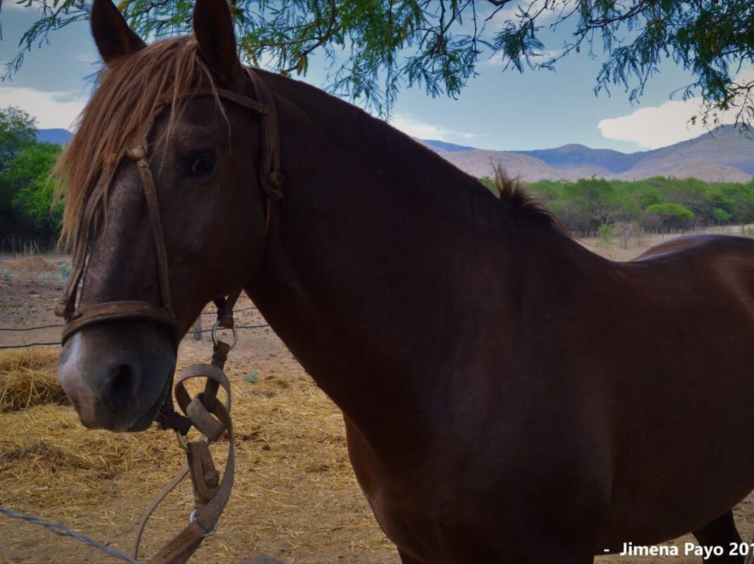 Encanto Salteno-萨尔塔必去景点