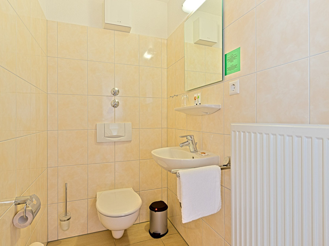 Sapia Hotel St. Fridolin主图