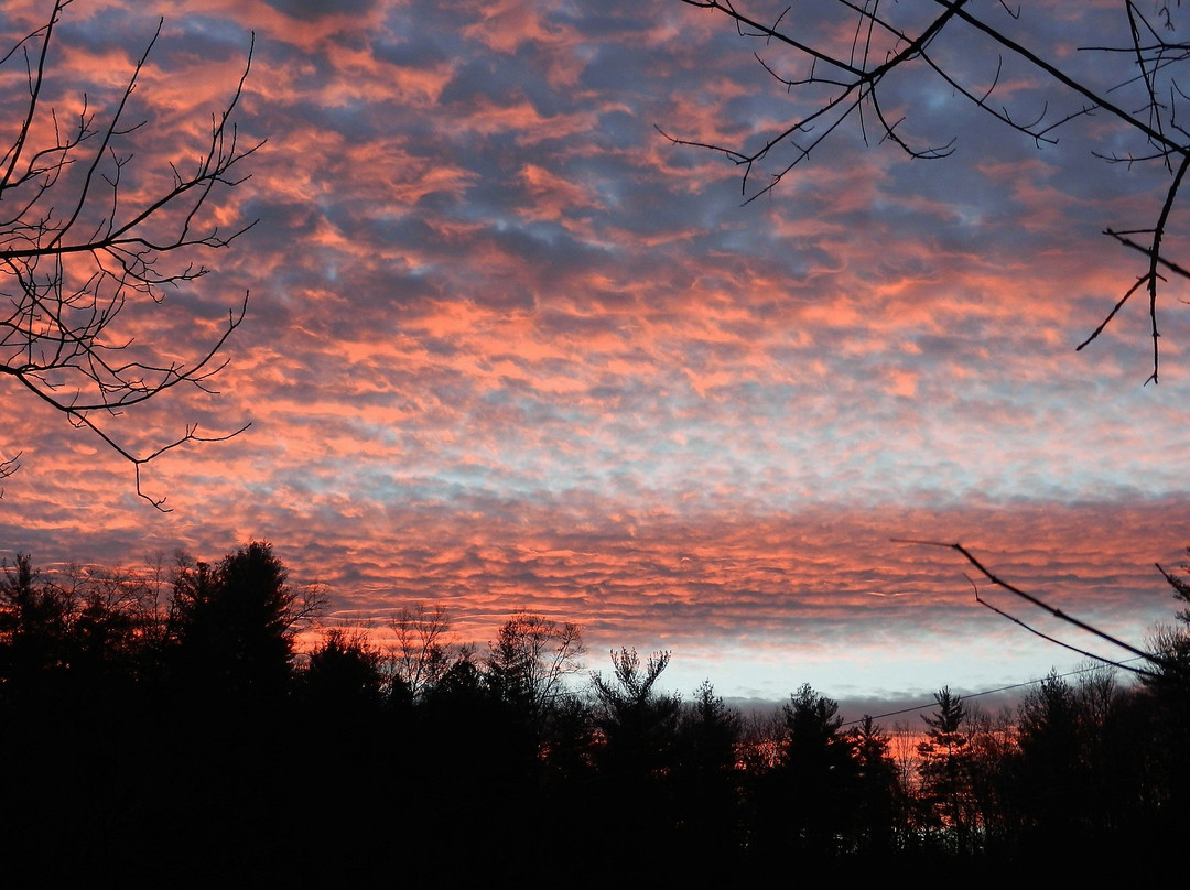 Stoney Fork Campground and B&B主图