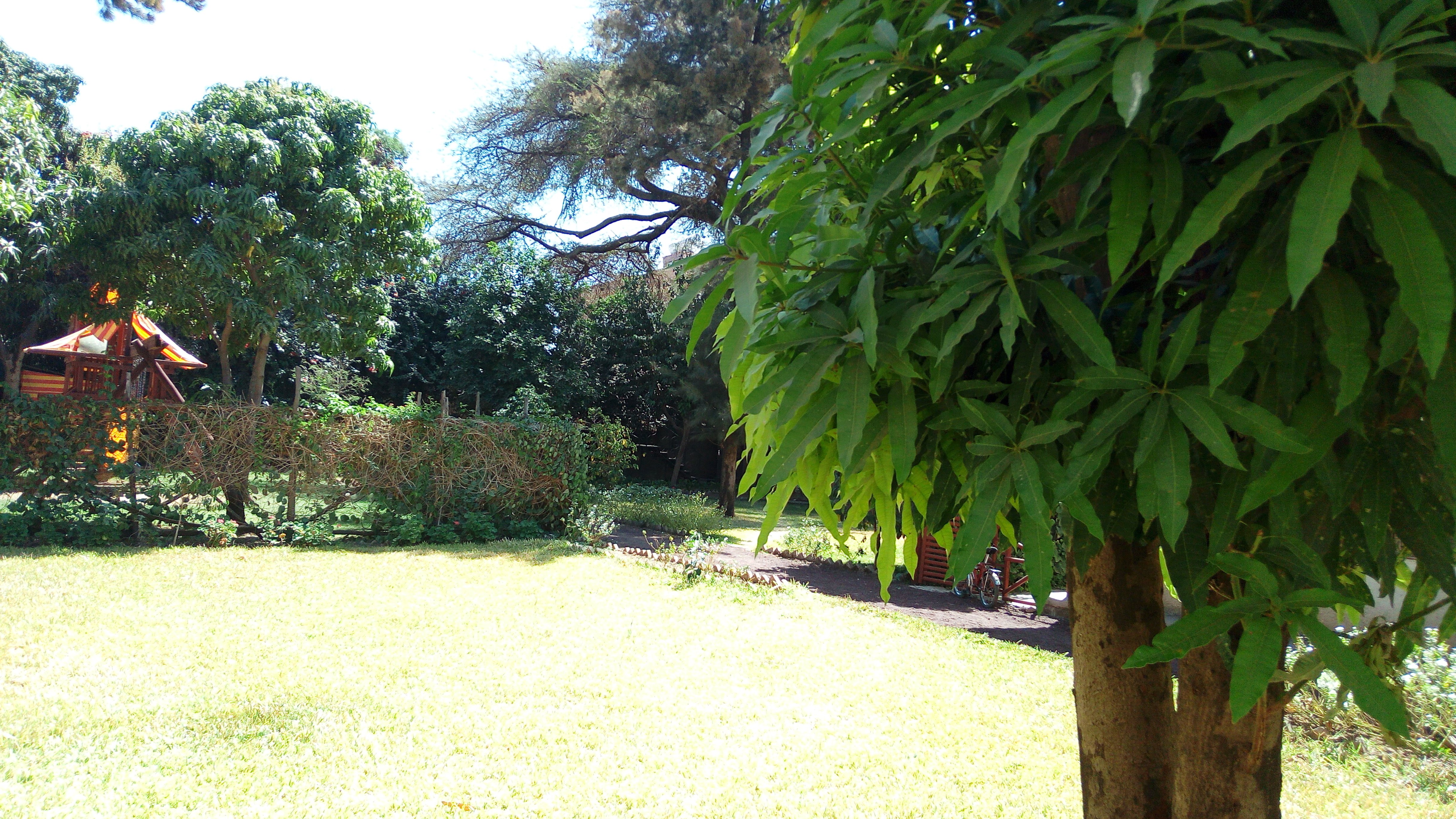 Safari Lodge-官方