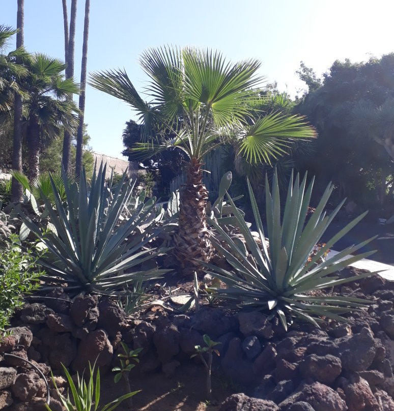 Aloe Park景点图片