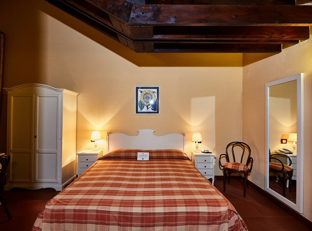 Albergo Trattoria Il Leone主图