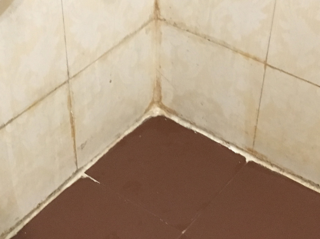 The Fern Residency, Haridwar主图