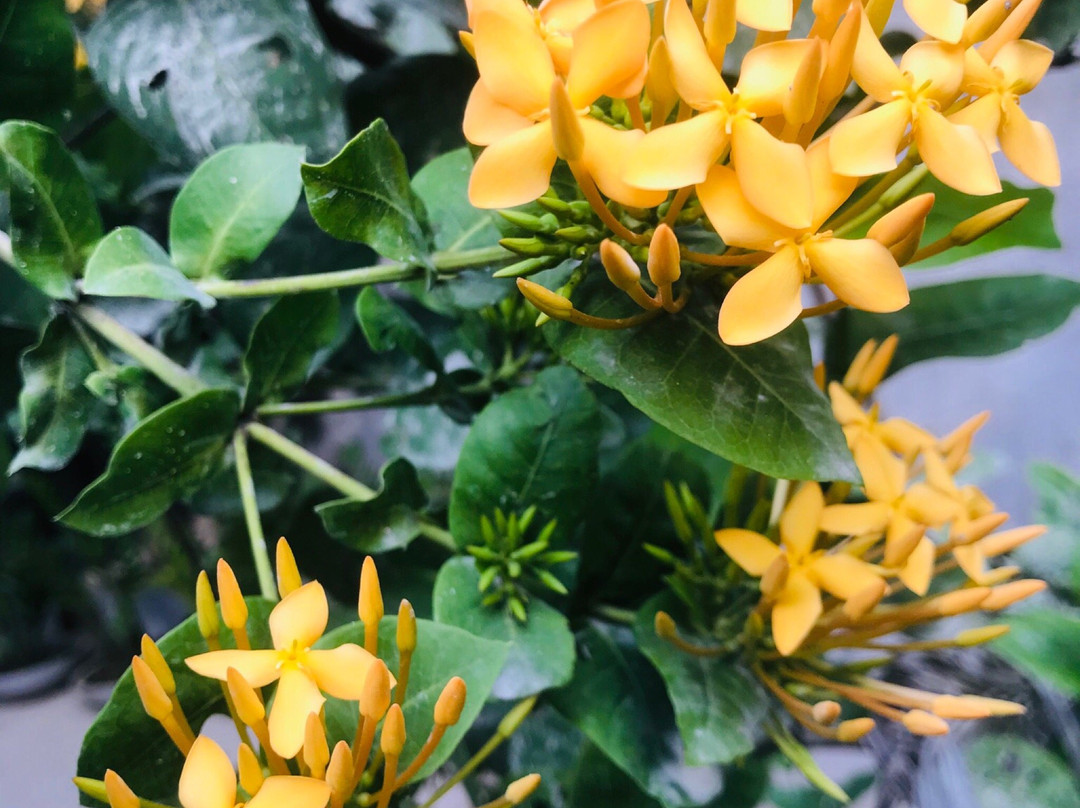 Tinara River Inn主图