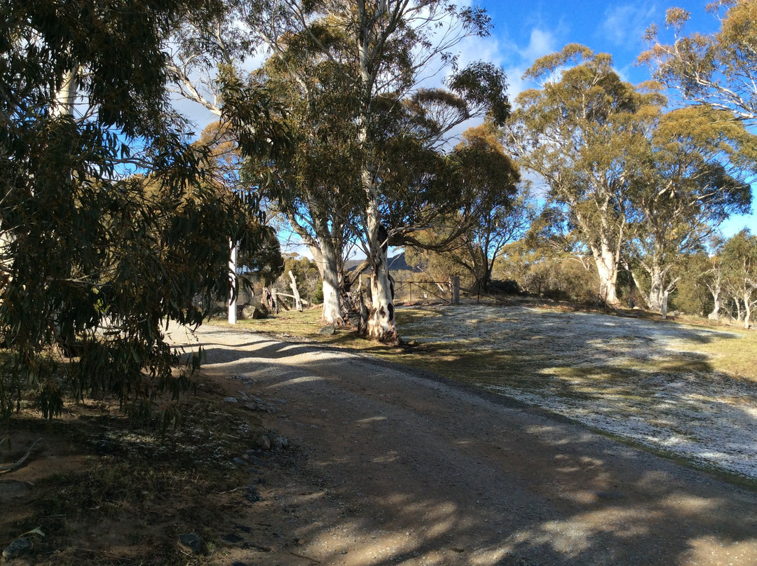 Andrea's White House主图