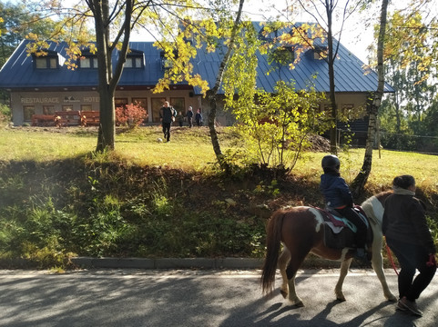 Profamily Hotel Top主图