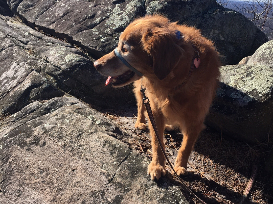 George Disney Trail-多尔顿必去景点