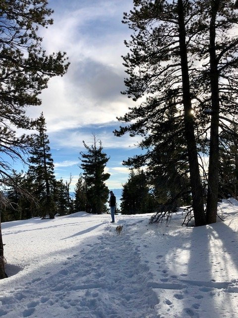 Tahoe Meadows Trail-因克莱恩村必去景点