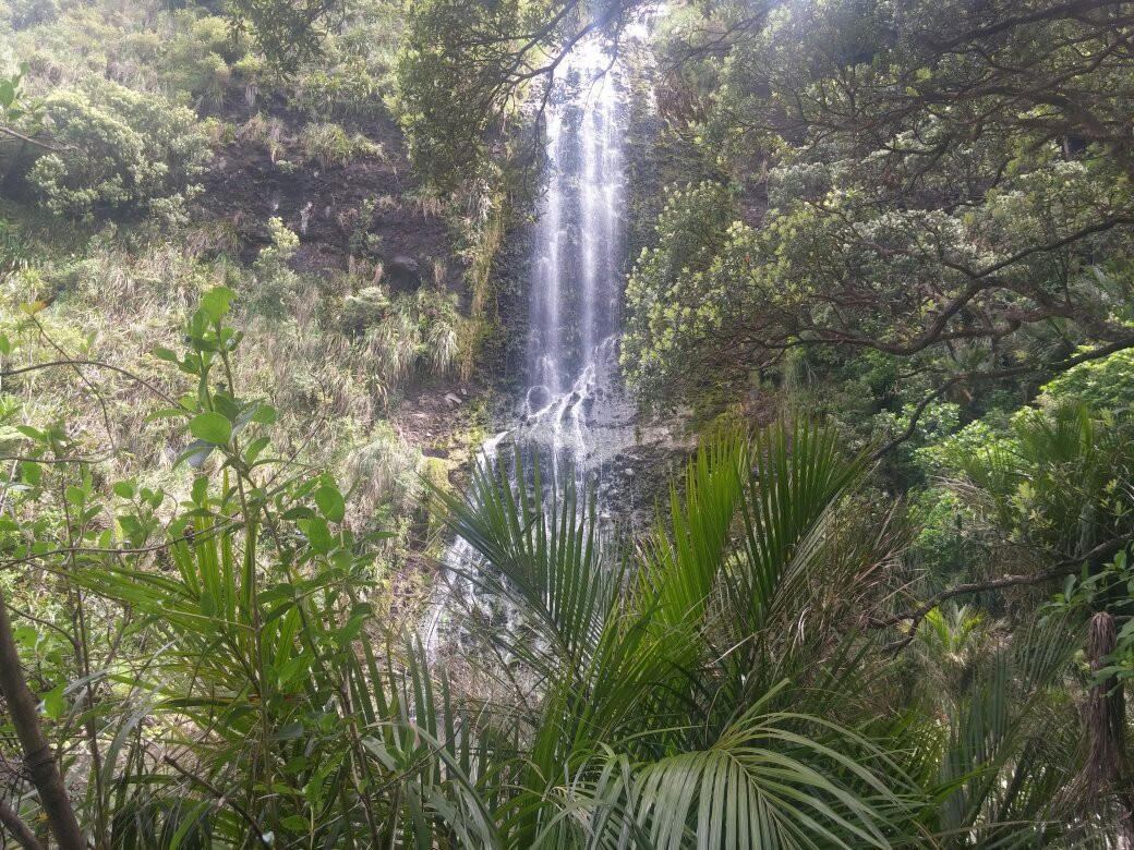 Elements Surf-皮哈海滩必去景点