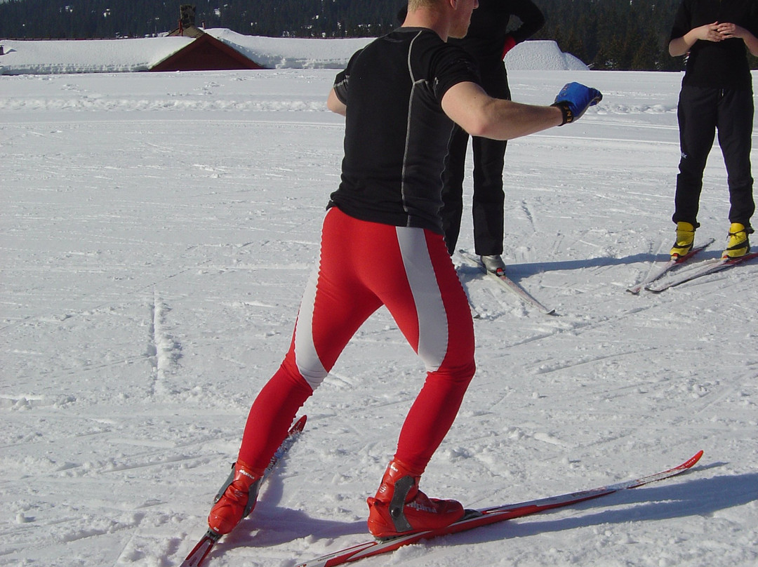 Aktiv I Natur Skiskole-利勒哈默尔必去景点