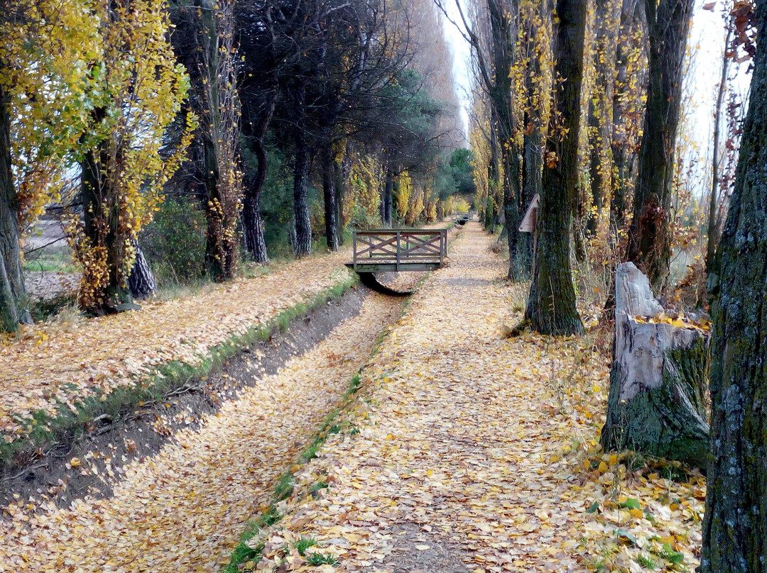 La Acequia景点图片