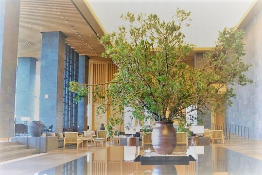 安缦东京酒店主图