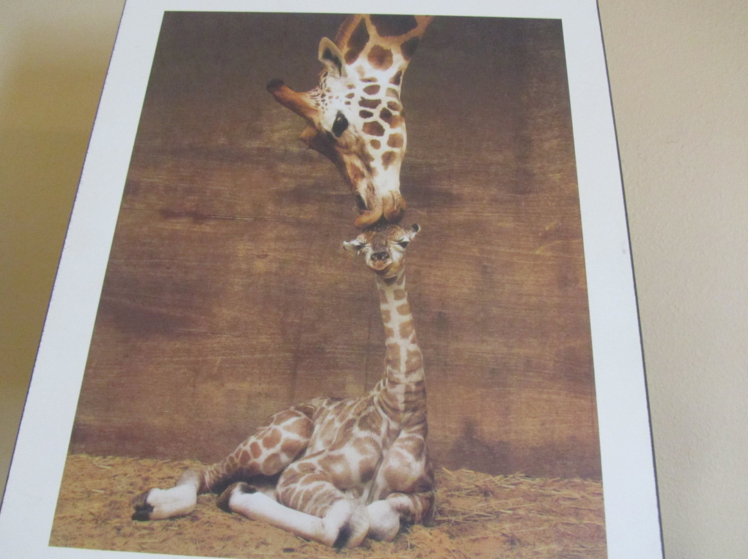 Park View Inn & Suites主图