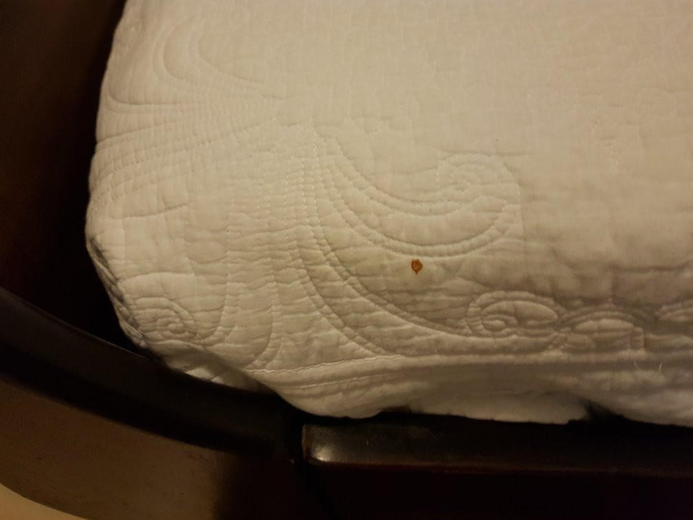 Sinawe Guesthouse主图