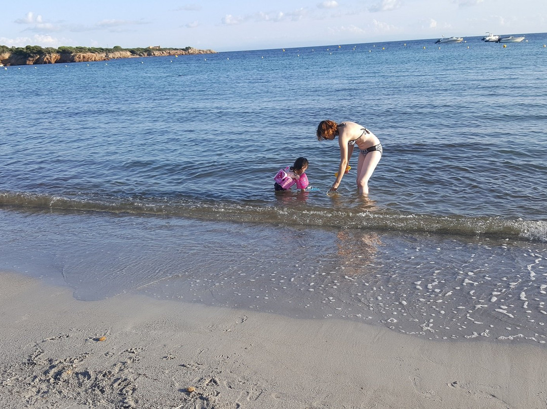 Plage de Furnellu景点图片
