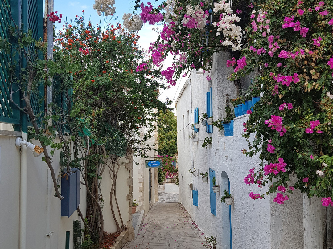 Panormo Beach Hotel主图