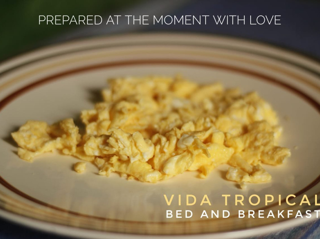 Vida Tropical B and B主图