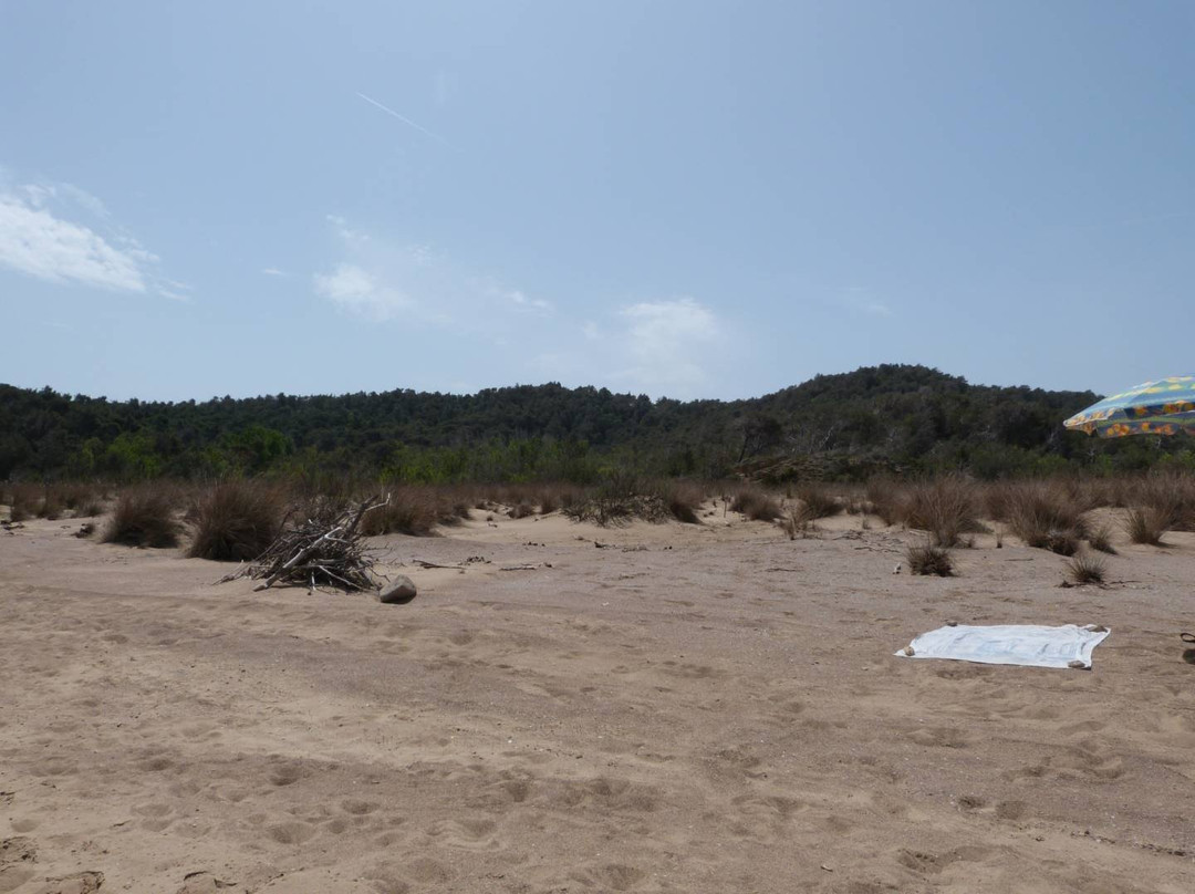 Sahara Beach景点图片