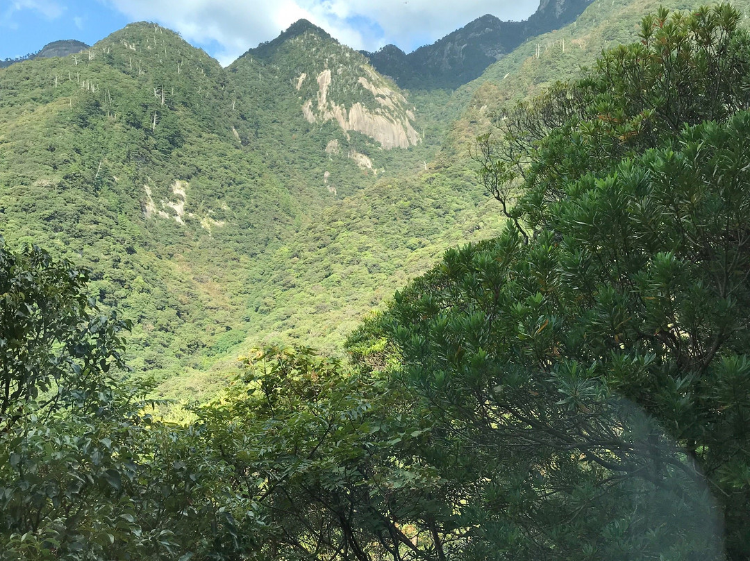 Matsubanda Kotsu-屋久岛町必去景点