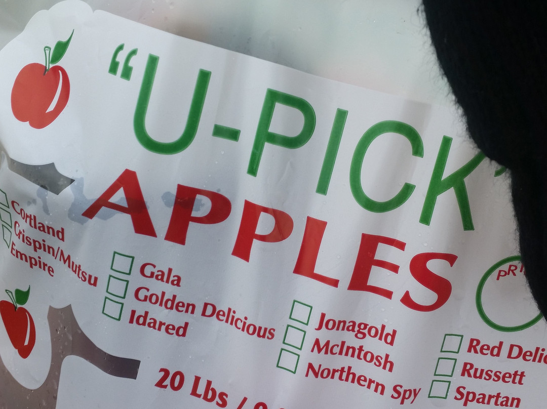 The Big'r Apple Farm-布兰普敦必去景点