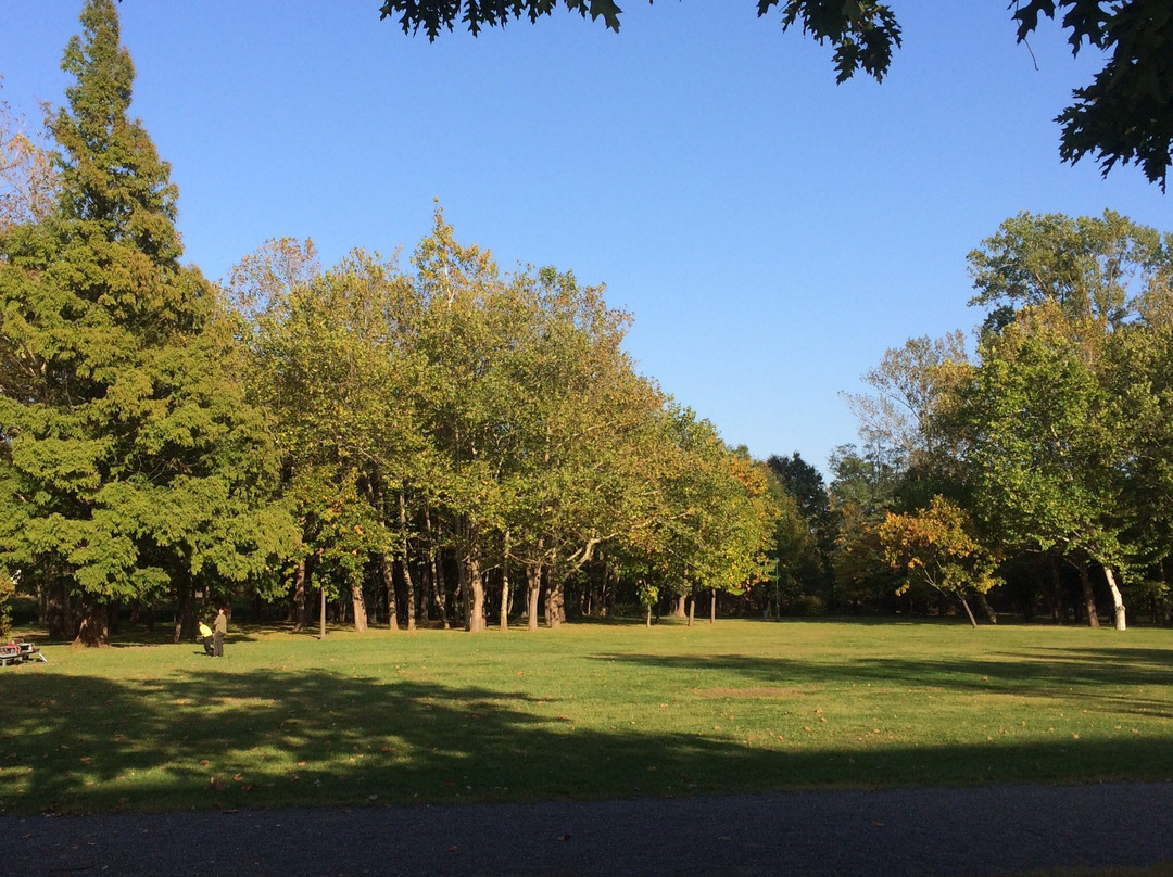 Higashiyama Park-岩见泽市必去景点