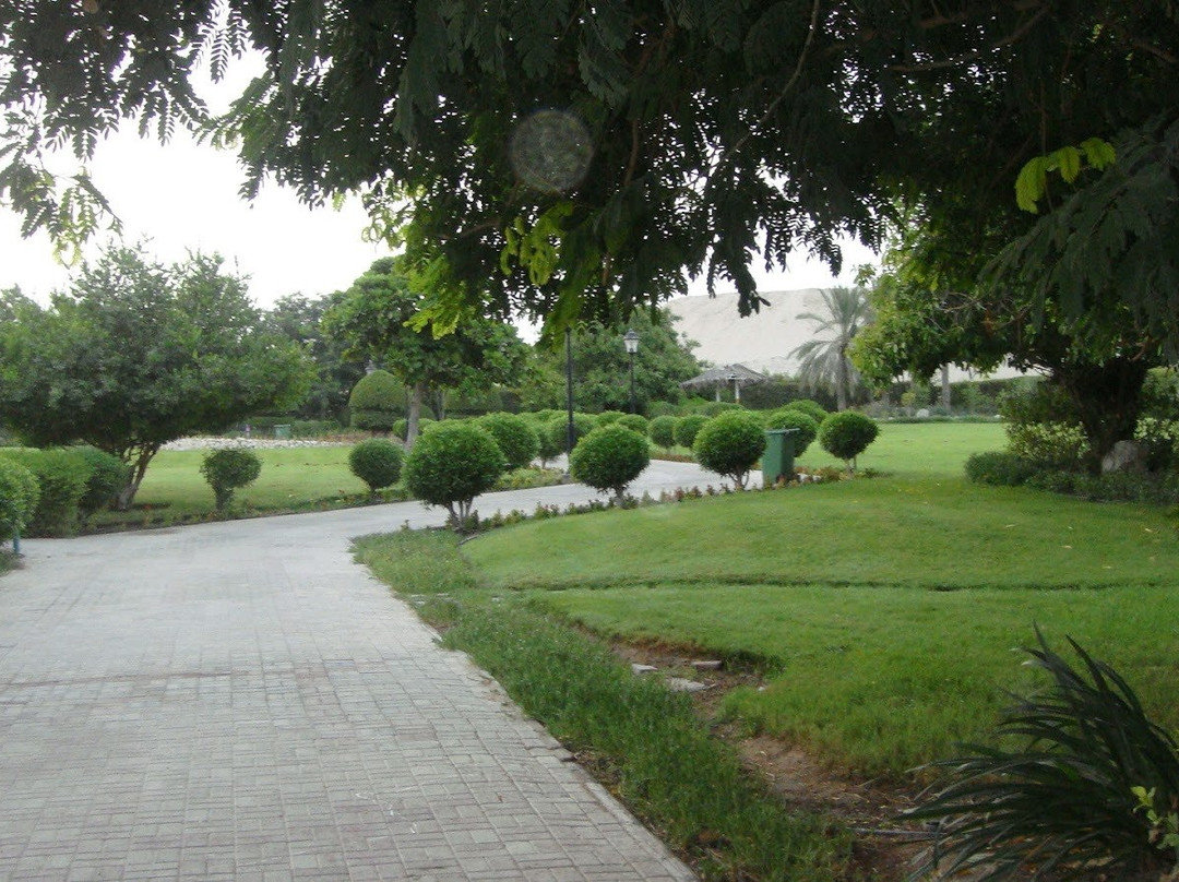 Al Wakrah Park景点图片
