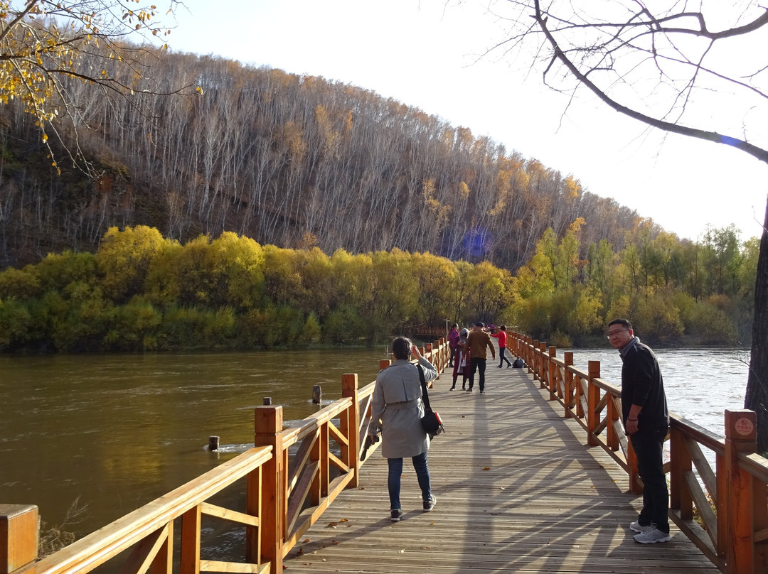 额尔古纳国家湿地公园-额尔古纳市必去景点