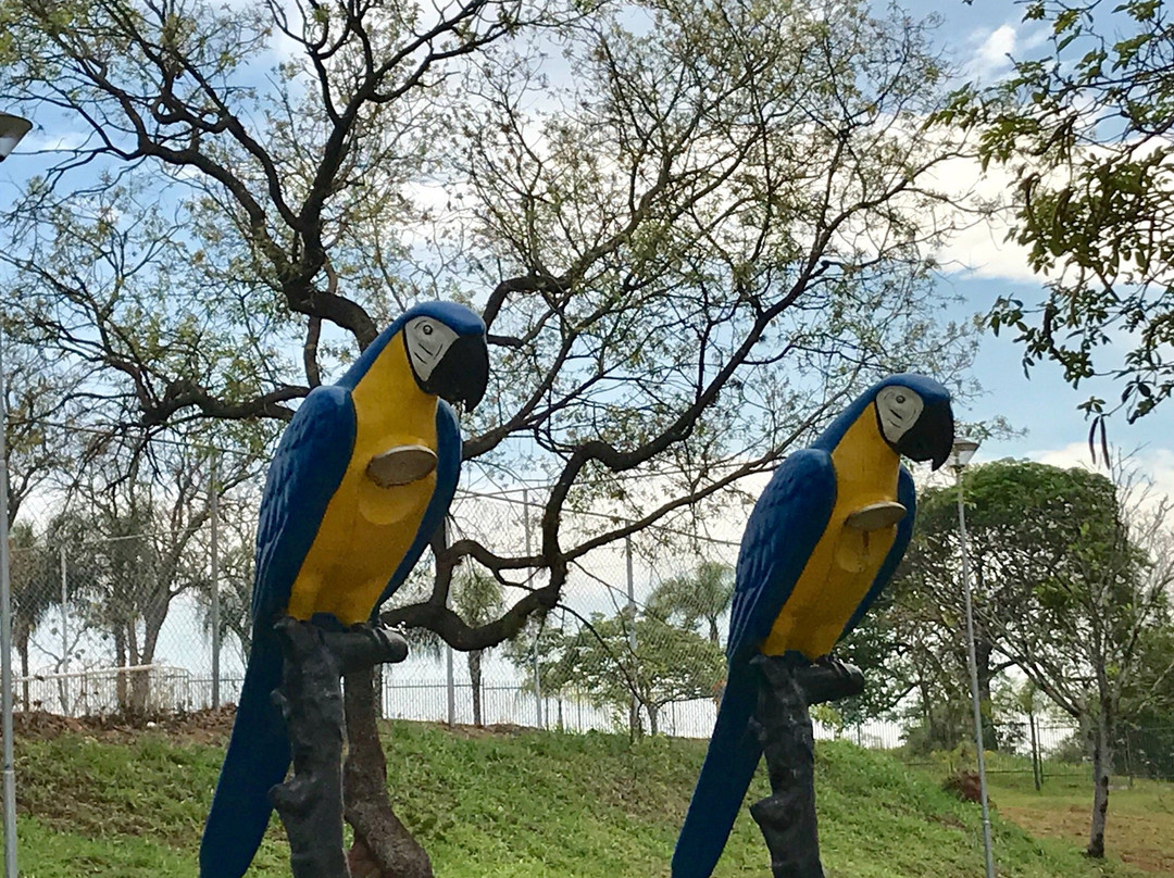 Parque Aguas Claras景点图片