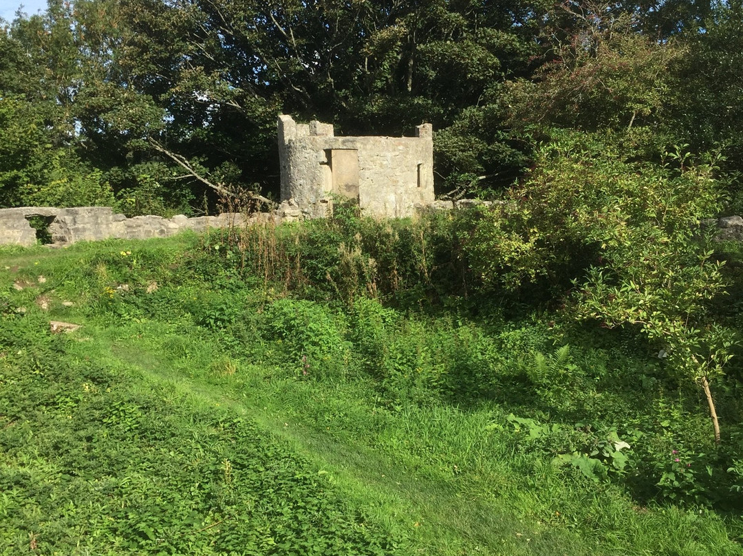 Aberlleiniog Castle-Llangoed必去景点