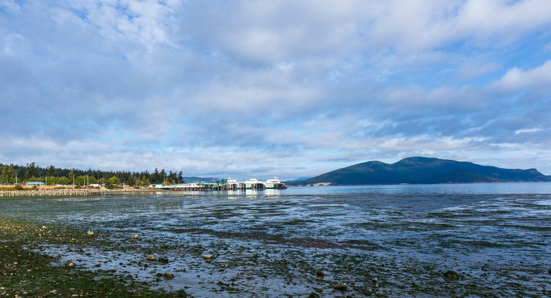 Ship Harbor Interpretive Preserve景点图片