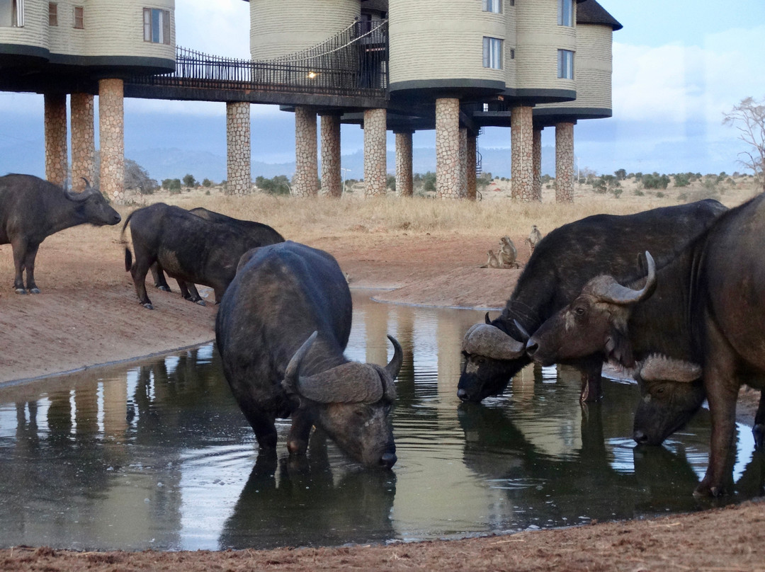 萨洛瓦萨尔特利克游戏旅馆主图