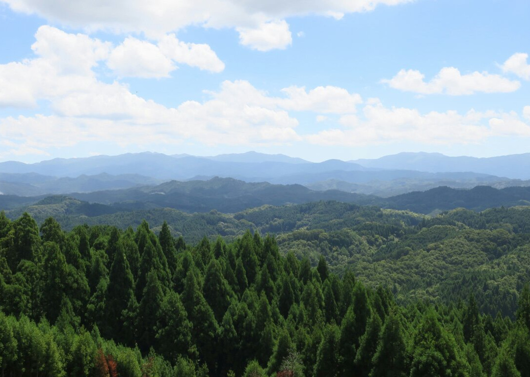 The Site of Uda Matsuyama Castle景点图片