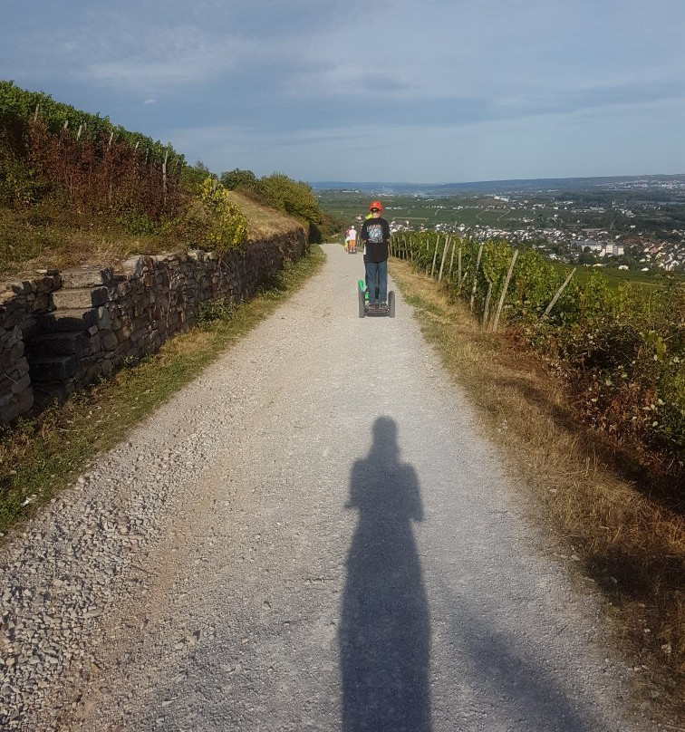 Segway Events Rheingau景点图片