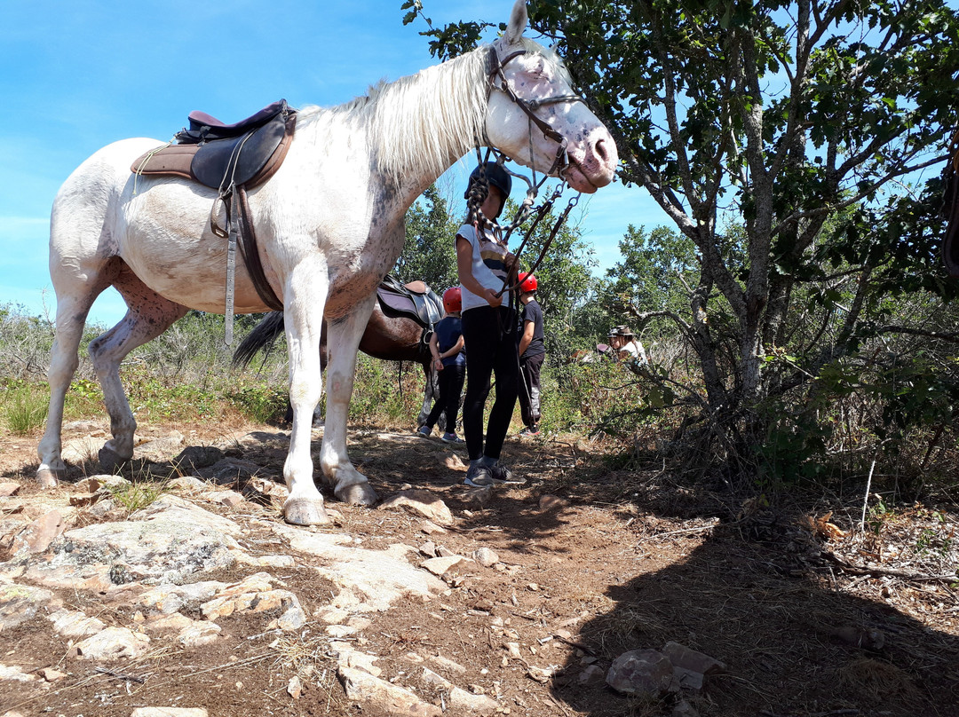 Cheval d'Azergues景点图片