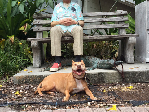 Art Center Sarasota-萨拉索塔必去景点