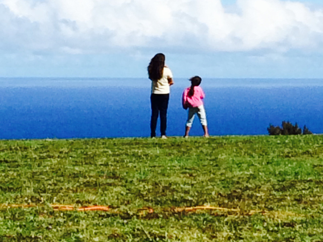 Hamakua Harvest Farmers Market-霍诺卡阿必去景点