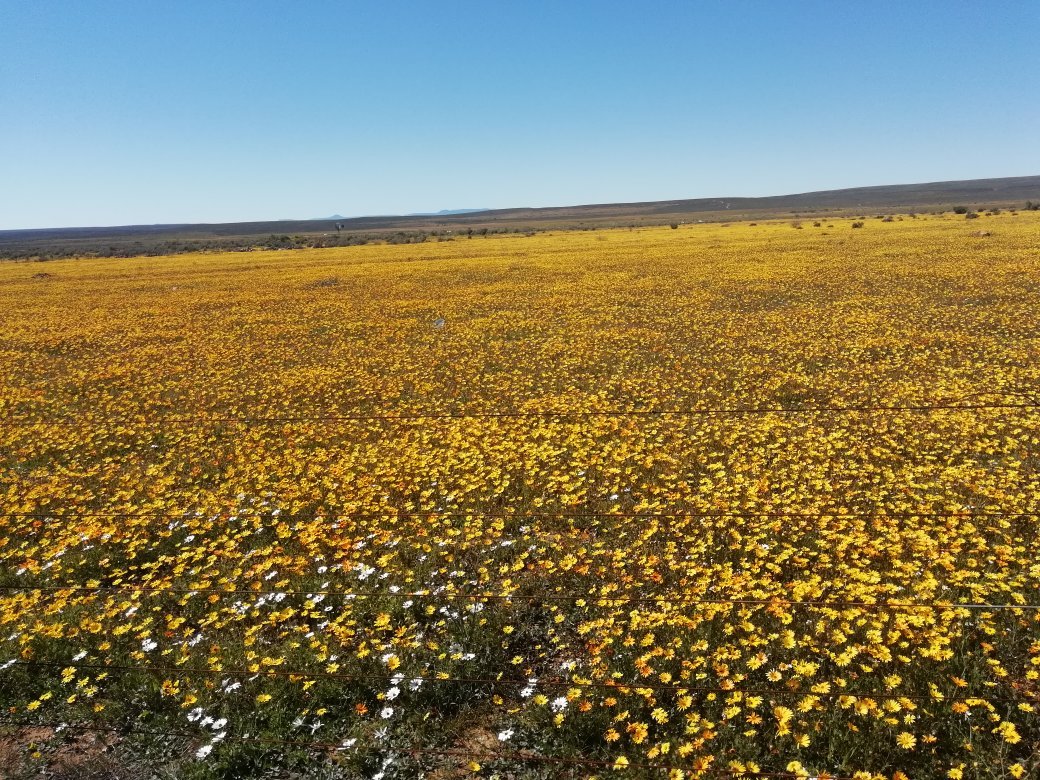 The Golden Grape B&b-官方