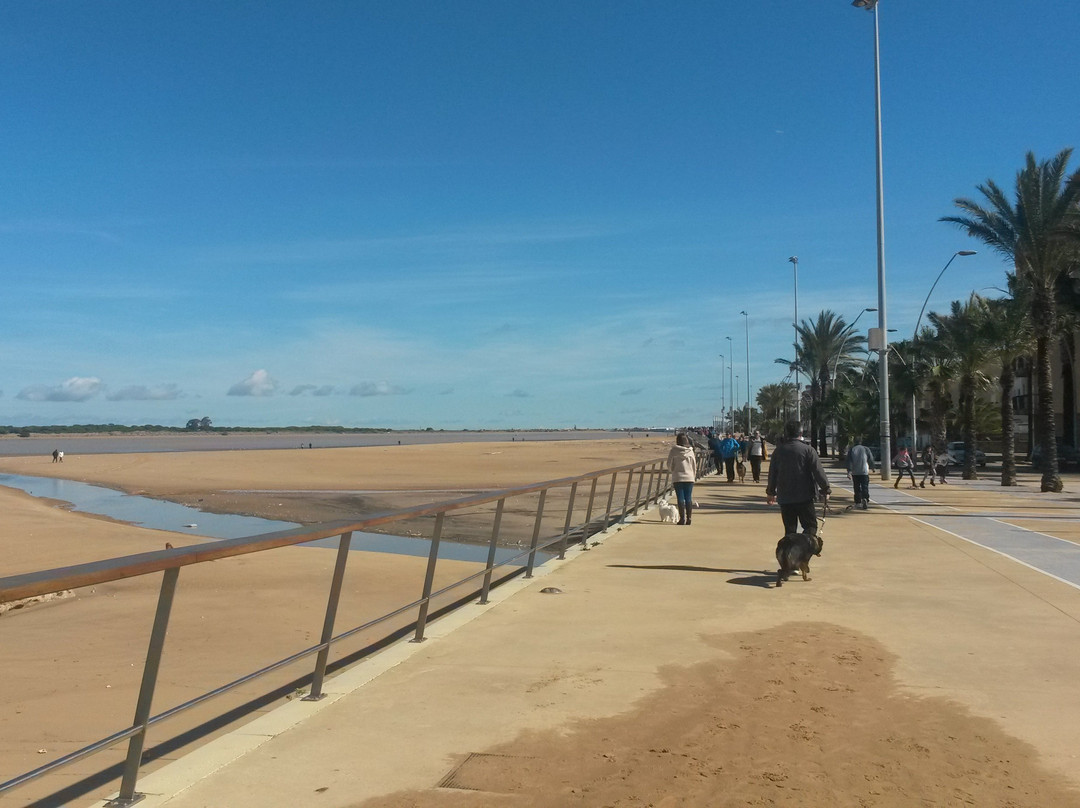 Playas de La Calzada景点图片